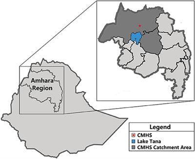 Stroke Characteristics and Outcomes of Adult Patients in Northwest Ethiopia